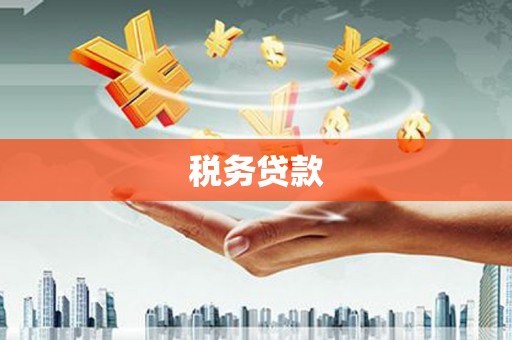 临邑税务贷款