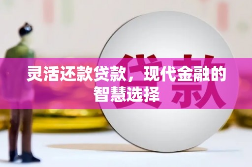 临邑灵活还款贷款，现代金融的智慧选择