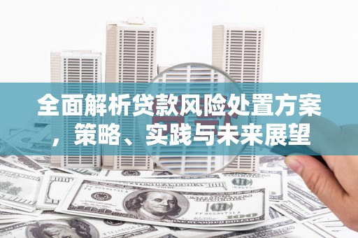 临邑全面解析贷款风险处置方案，策略、实践与未来展望