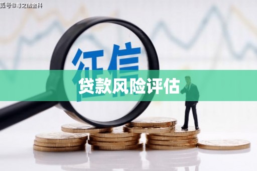 临邑贷款风险评估