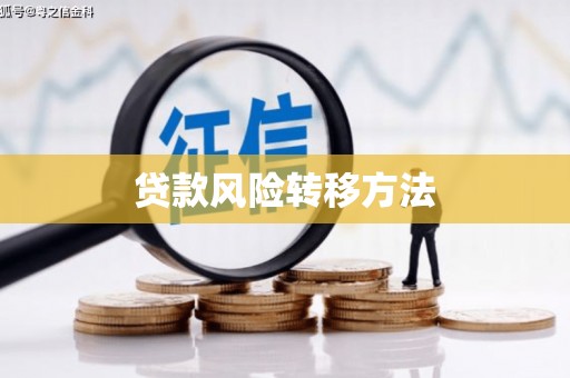 临邑贷款风险转移方法