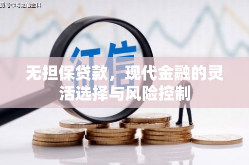 临邑无担保贷款，现代金融的灵活选择与风险控制