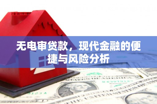 临邑无电审贷款，现代金融的便捷与风险分析