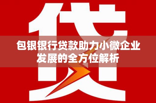 临邑包银银行贷款助力小微企业发展的全方位解析