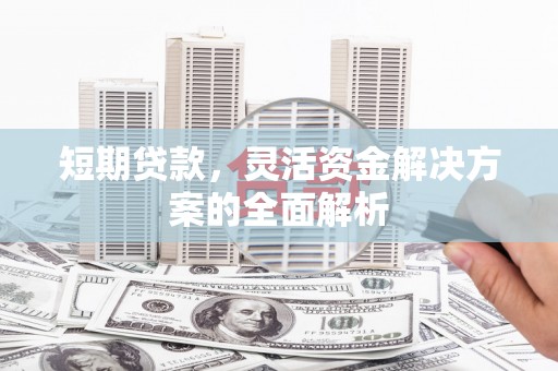 临邑短期贷款，灵活资金解决方案的全面解析