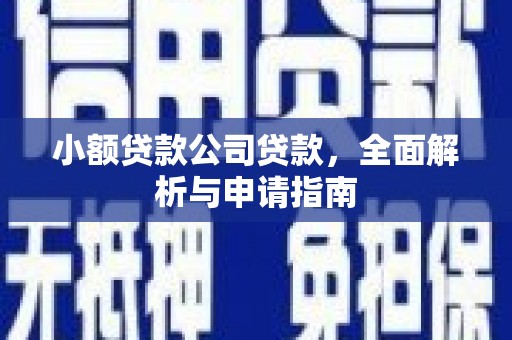 临邑小额贷款公司贷款，全面解析与申请指南