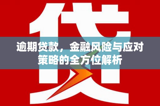临邑逾期贷款，金融风险与应对策略的全方位解析