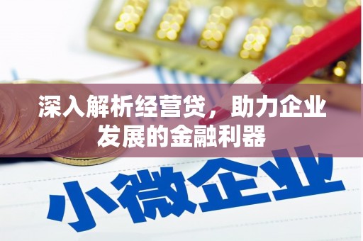 临邑深入解析经营贷，助力企业发展的金融利器