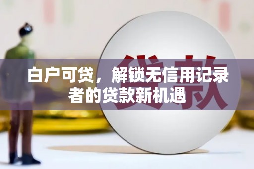 临邑白户可贷，解锁无信用记录者的贷款新机遇