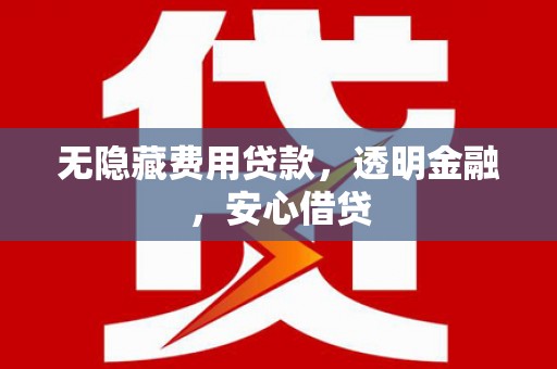 临邑无隐藏费用贷款，透明金融，安心借贷