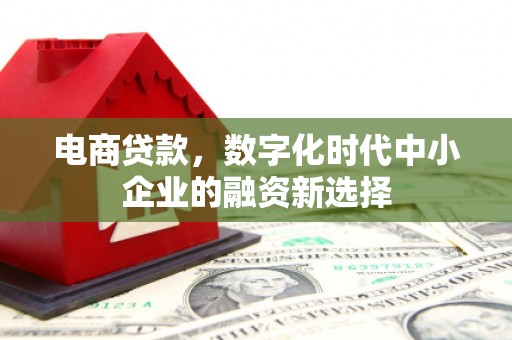 临邑电商贷款，数字化时代中小企业的融资新选择