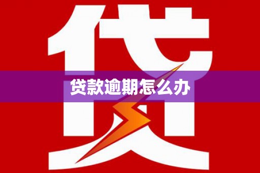 临邑贷款逾期怎么办