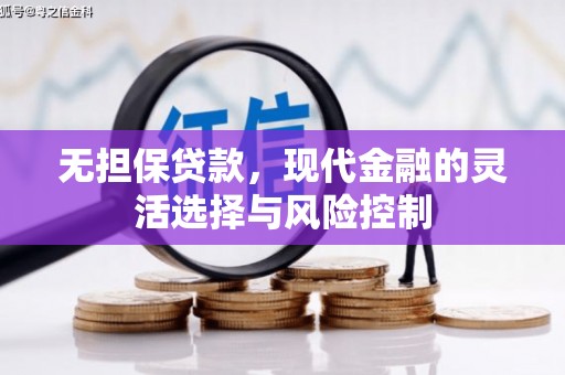 临邑无担保贷款，现代金融的灵活选择与风险控制