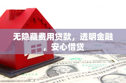 临邑无隐藏费用贷款，透明金融，安心借贷