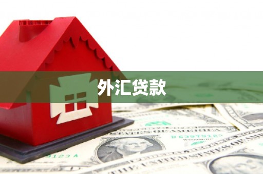 临邑外汇贷款
