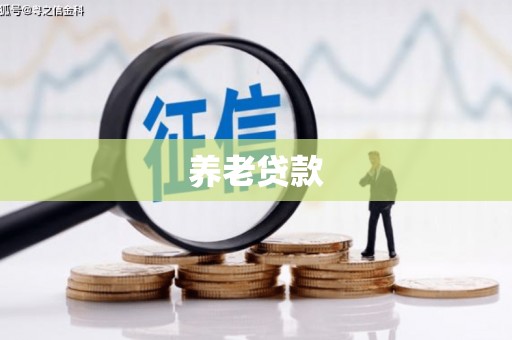 临邑养老贷款