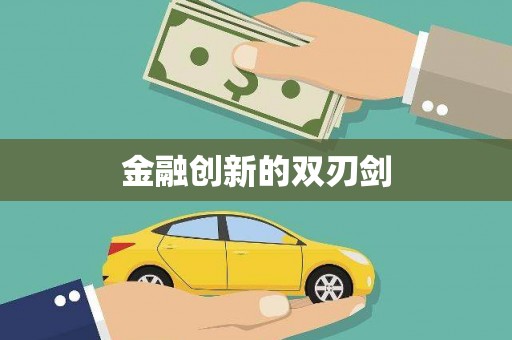 临邑金融创新的双刃剑