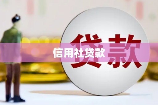 临邑信用社贷款