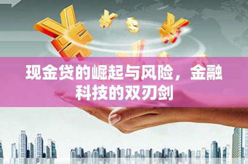 临邑现金贷的崛起与风险，金融科技的双刃剑
