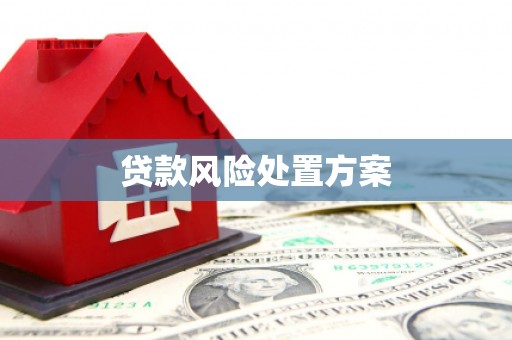 临邑贷款风险处置方案
