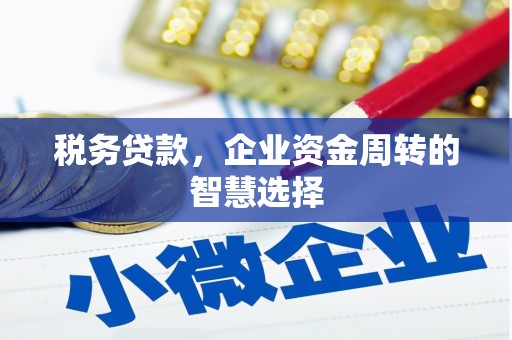 临邑税务贷款，企业资金周转的智慧选择