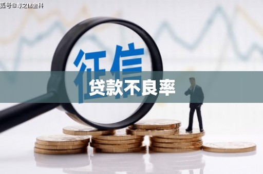 临邑贷款不良率