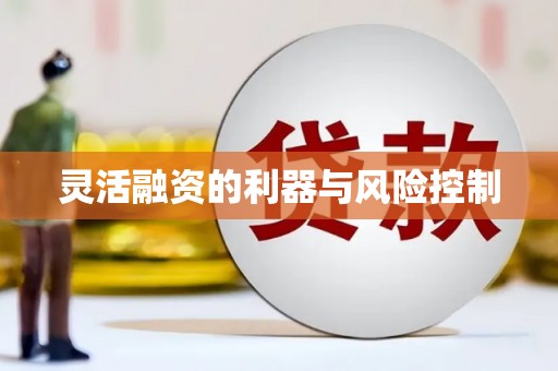 临邑灵活融资的利器与风险控制