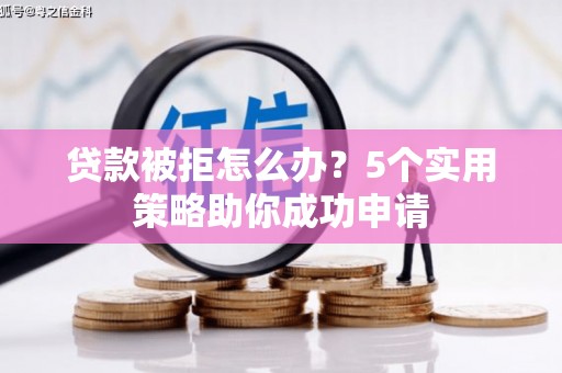 临邑贷款被拒怎么办？5个实用策略助你成功申请