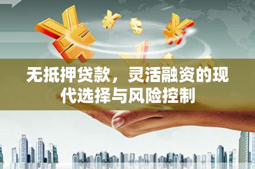 临邑无抵押贷款，灵活融资的现代选择与风险控制