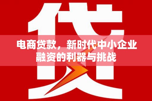 临邑电商贷款，新时代中小企业融资的利器与挑战