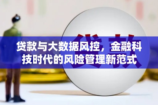 临邑贷款与大数据风控，金融科技时代的风险管理新范式
