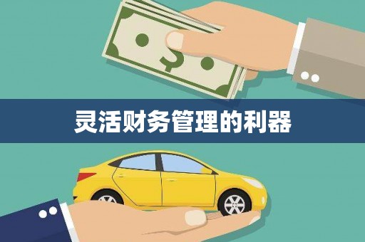 临邑灵活财务管理的利器