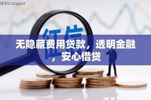 临邑无隐藏费用贷款，透明金融，安心借贷