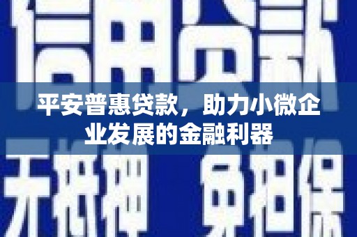 临邑平安普惠贷款，助力小微企业发展的金融利器