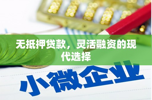 临邑无抵押贷款，灵活融资的现代选择