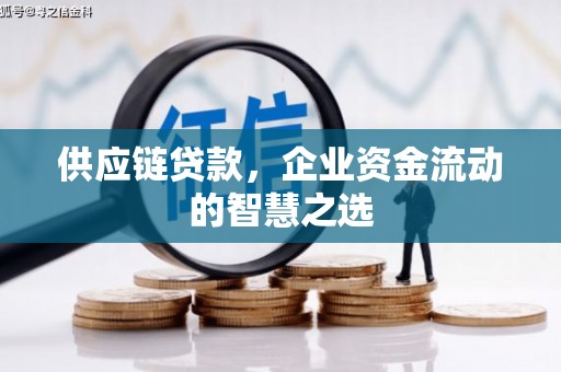 临邑供应链贷款，企业资金流动的智慧之选