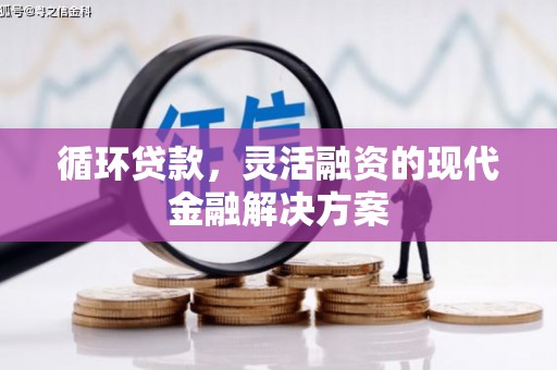临邑循环贷款，灵活融资的现代金融解决方案