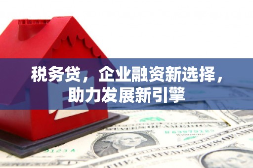 临邑税务贷，企业融资新选择，助力发展新引擎