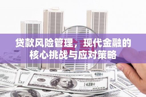 临邑贷款风险管理，现代金融的核心挑战与应对策略