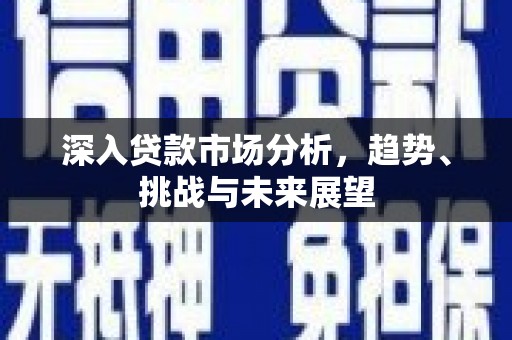 临邑深入贷款市场分析，趋势、挑战与未来展望
