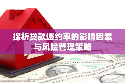 临邑探析贷款违约率的影响因素与风险管理策略