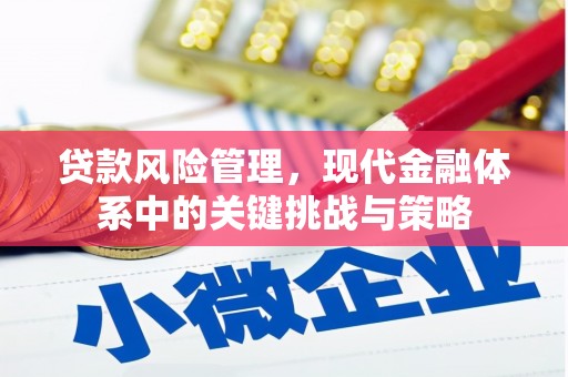 临邑贷款风险管理，现代金融体系中的关键挑战与策略