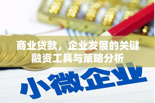 临邑商业贷款，企业发展的关键融资工具与策略分析