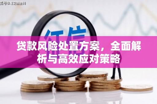 临邑贷款风险处置方案，全面解析与高效应对策略