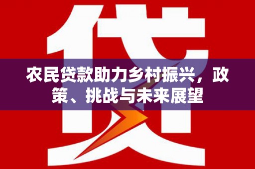 临邑农民贷款助力乡村振兴，政策、挑战与未来展望