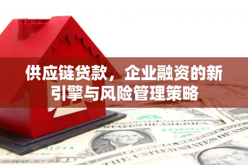 临邑供应链贷款，企业融资的新引擎与风险管理策略