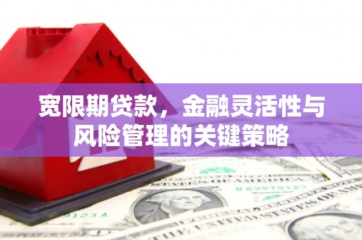 临邑宽限期贷款，金融灵活性与风险管理的关键策略