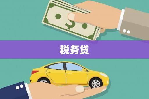 临邑税务贷