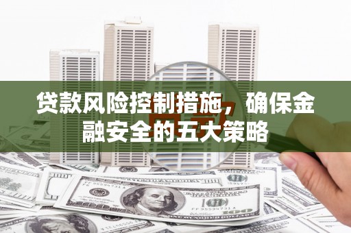临邑贷款风险控制措施，确保金融安全的五大策略