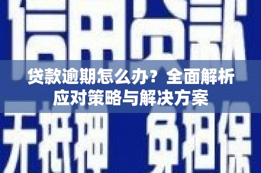 临邑贷款逾期怎么办？全面解析应对策略与解决方案